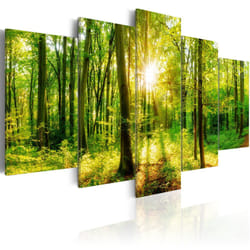 Planete Discount PD9822-100-50 tableau