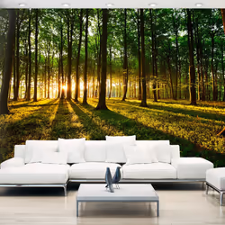 Planete Discount PD14289-400-280, Papier peint non tissé, Vert, Jaune, Jaune, Vert, 120 g/m², Mystical Morning, 4000 mm