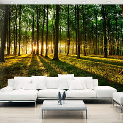 Papier peint intissé Paysages Mystical Morning - PD14289-400-280