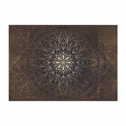 Papier peint intissé Fonds et Dessins Mandala - PD13766-400-280