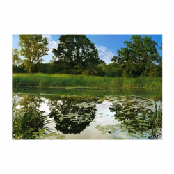 Papier peint intissé Paysages The Magic Pond - PD14290-400-280