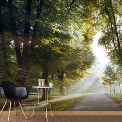 Papier peint intissé Paysages Promenade matinale - PD14291-400-280