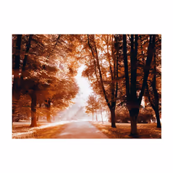 Papier peint intissé Paysages Autumn Park - PD14292-400-280