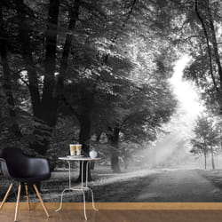 Papier peint intissé Paysages Path of Memories - PD14293-400-280