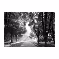 Papier peint intissé Paysages Path of Memories - PD14293-400-280