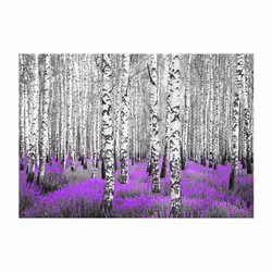 Papier peint intissé Paysages Purple asylum - PD14297-400-280