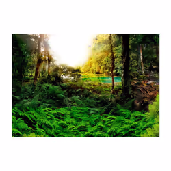 Papier peint intissé Paysages In tropics - PD14298-400-280
