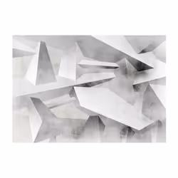 Papier peint intissé Abstractions Frozen wings - PD13010-400-280