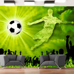 Papier peint intissé Hobby Victory! - PD14154-400-280