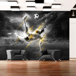 Papier peint intissé Hobby Football legend - PD14156-400-280