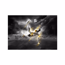 Papier peint intissé Hobby Football legend - PD14156-400-280