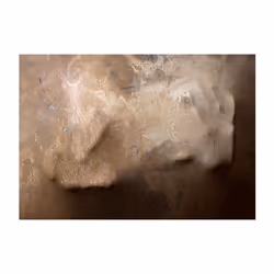 Papier peint intissé Personnes The warmth of your hand - PD14585-400-280