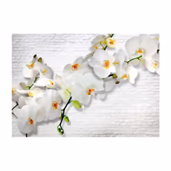 Papier peint intissé Fleurs The Urban Orchid - PD13470-400-280