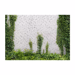 Planete Discount PD13815-100-70 papier-peint Papier peint non tissé Vert, Gris