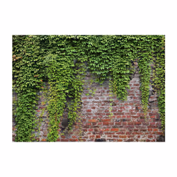 Planete Discount PD13816-100-70 papier-peint Papier peint non tissé Vert, Rouge