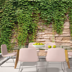 Planete Discount PD13817-100-70, Papier peint non tissé, Beige, Vert, Beige, Vert, 120 g/m², Mur de lierre, 1000 mm