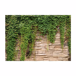 Planete Discount PD13817-100-70 papier-peint Papier peint non tissé Beige, Vert