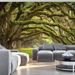 Papier peint intissé Paysages Tree embrace - PD14299-400-280