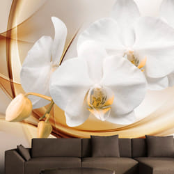 Papier peint intissé Fleurs Orchid blossom - PD13494-400-280