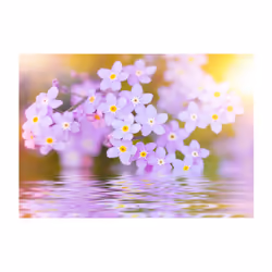 Papier peint intissé Fleurs Violet Petals In Bloom - PD13503-400-280
