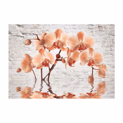 Papier peint intissé Fleurs The Orange Arc - PD13504-400-280