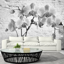 Papier peint intissé Fleurs Orchid in Shades of Gray - PD13505-400-280