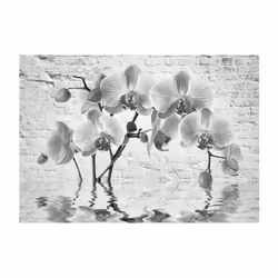 Papier peint intissé Fleurs Orchid in Shades of Gray - PD13505-400-280