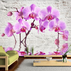 Papier peint intissé Fleurs Purple Delight - PD13506-400-280