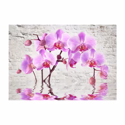 Papier peint intissé Fleurs Purple Delight - PD13506-400-280