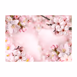 Papier peint intissé Fleurs Spring Cherry Blossom - PD13509-400-280