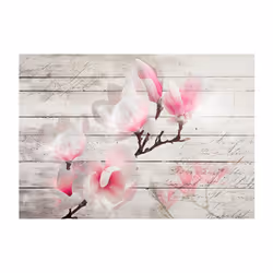 Papier peint intissé Fleurs Gentleness of the Magnolia - PD13512-400-280