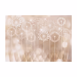 Papier peint intissé Fonds et Dessins Radiant Flowers - PD13821-400-280
