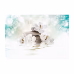 Papier peint intissé Orient Heavenly Peace - PD14239-400-280