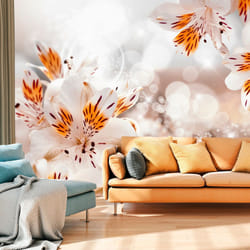 Planete Discount PD13526-150-105 papier-peint Papier peint non tissé Orange, Blanc