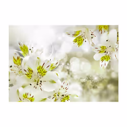 Planete Discount PD13527-300-210 papier-peint Papier peint non tissé Vert, Blanc