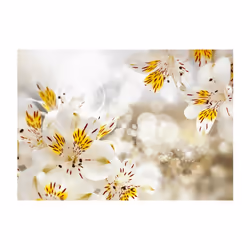 Planete Discount PD13528-100-70 papier-peint Papier peint non tissé Blanc, Jaune