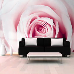 Planete Discount PD13535-150-105 papier-peint Papier peint non tissé Rose