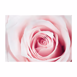 Papier peint intissé Fleurs Rose maze - PD13535-400-280