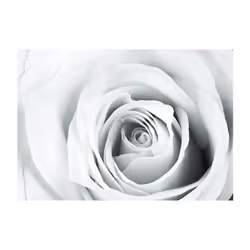 Planete Discount PD13536-350-245 papier-peint Papier peint non tissé Gris