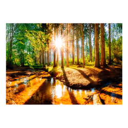 Papier peint intissé Paysages Marvelous Forest - PD14304-400-280