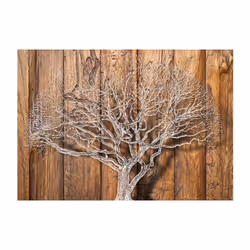 Papier peint intissé Paysages Knot of Life - PD14305-400-280