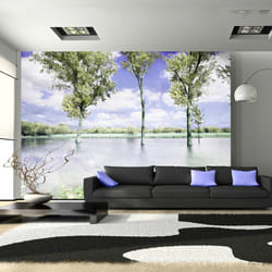 Papier peint intissé Paysages Spring scenery - PD14307-400-280