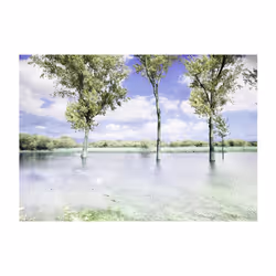 Papier peint intissé Paysages Spring scenery - PD14307-400-280
