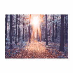 Papier peint intissé Paysages Edge of the Sun - PD14318-400-280