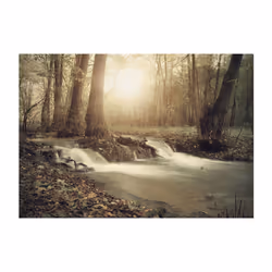 Papier peint intissé Paysages Forest Cascade - PD14324-400-280