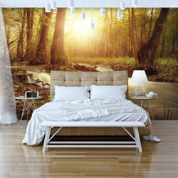 Papier peint intissé Paysages Sunny Current - PD14325-400-280
