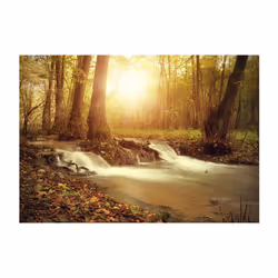 Papier peint intissé Paysages Sunny Current - PD14325-400-280