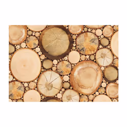 Planete Discount PD13842-300-210 papier-peint Papier peint non tissé Beige
