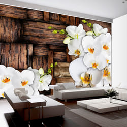 Papier peint intissé Fleurs Blooming orchids - PD13556-400-280