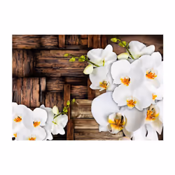 Papier peint intissé Fleurs Blooming orchids - PD13556-400-280